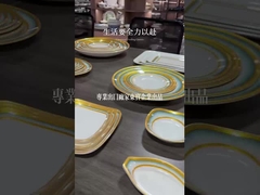 Melamine tafelgerei van een witte kleur van hoge kwaliteit